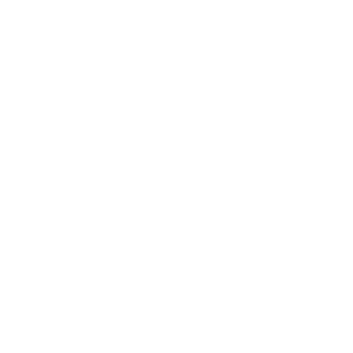 VIP 1:1 Online Coaching icon